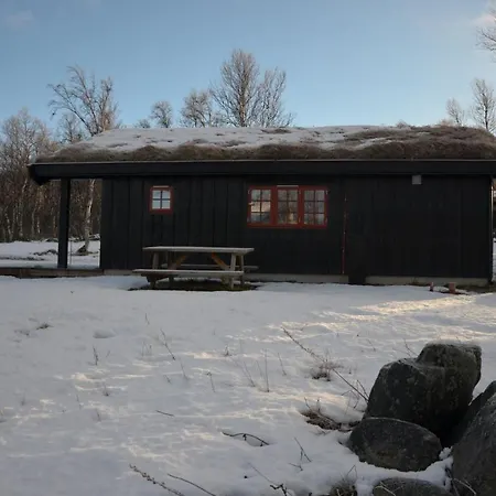 Northern Gate Besseggen - No 17 In Besseggen Fjellpark